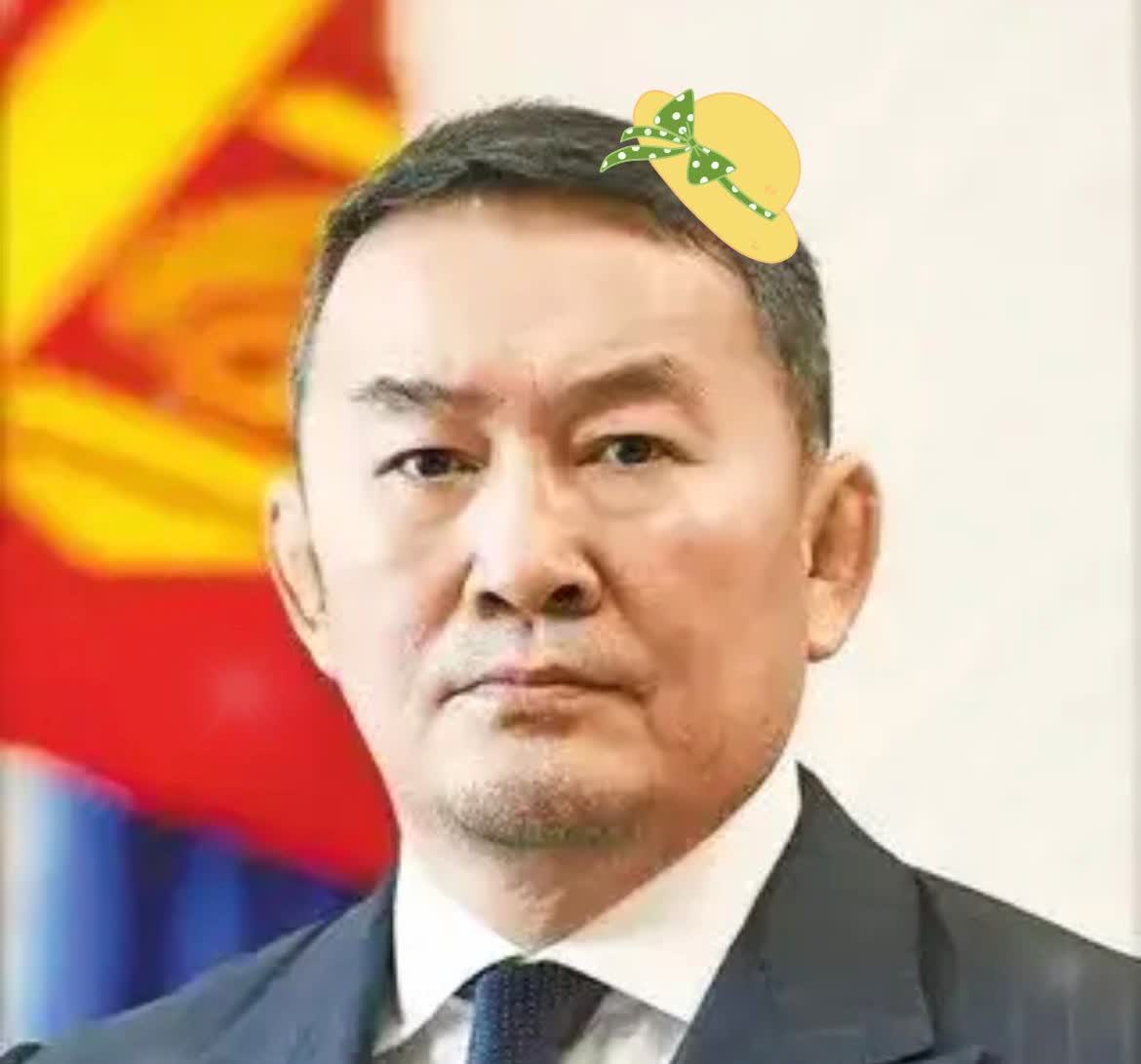快讯！

蒙古国突然宣布

蒙古国总统呼日勒苏赫于8月31日下午降落天津