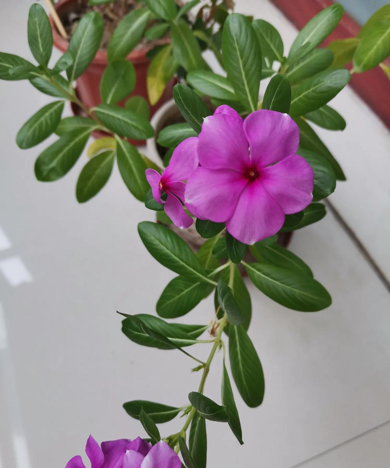 非常欣赏这句话：“苦-才是人生，累-才是工作，变-才是命运，忍-才是历练，容-才