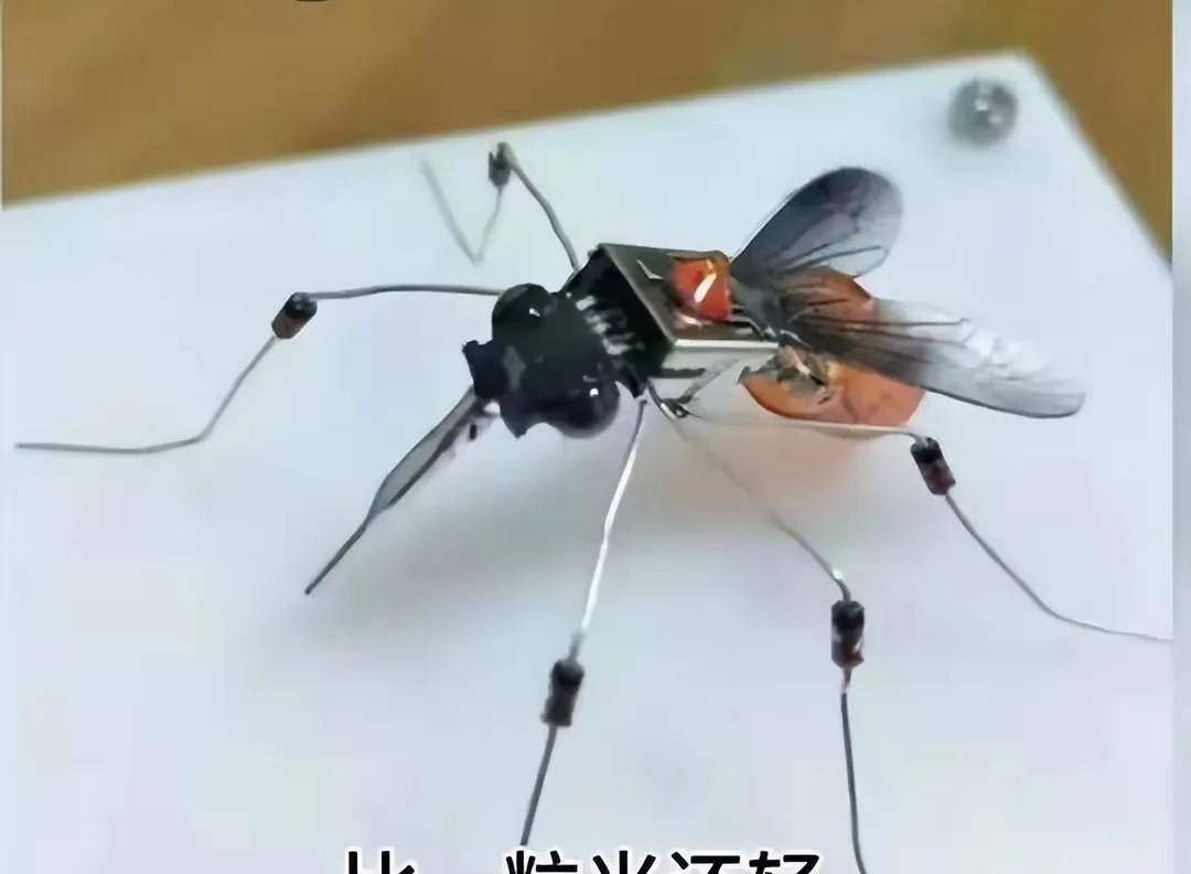 蚊子无人机与孙悟空。
无人机已经司空见惯，应用全面，工业，农业，科技，军事等全方