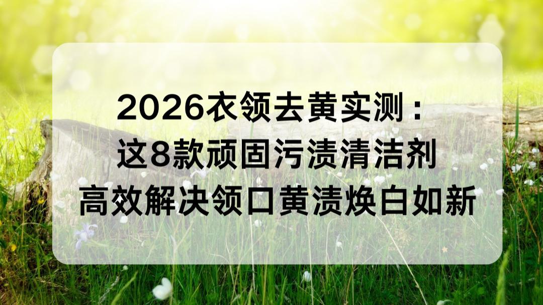 2026衣领去黄实测：这8款顽固污渍清洁剂高效解决领口黄渍焕白如新