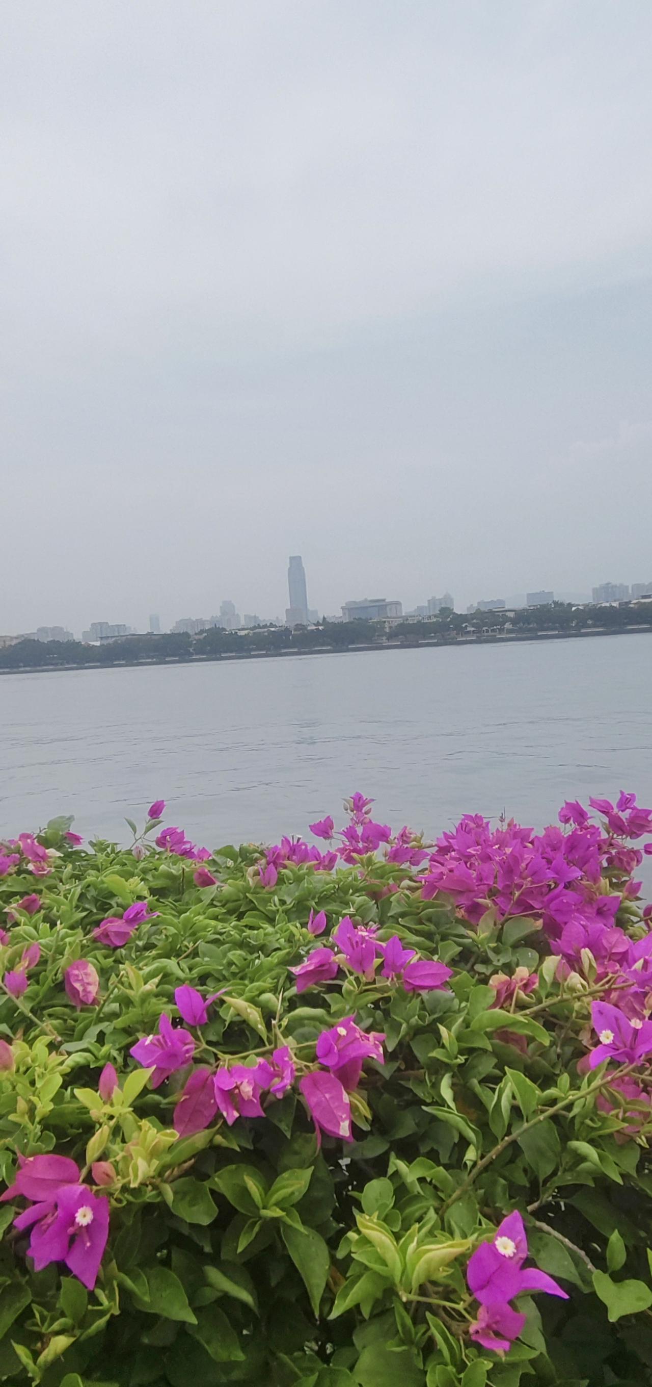 婆媳矛盾，儿子，其实也是帮凶。
别看儿子有电话问候，那是安慰他自己的心。
儿媳妇