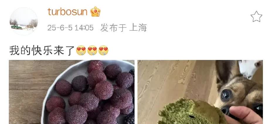 孙俪，高调发文！

6月5日下午，孙俪在社交平台高调发文，引发网友围观！这次