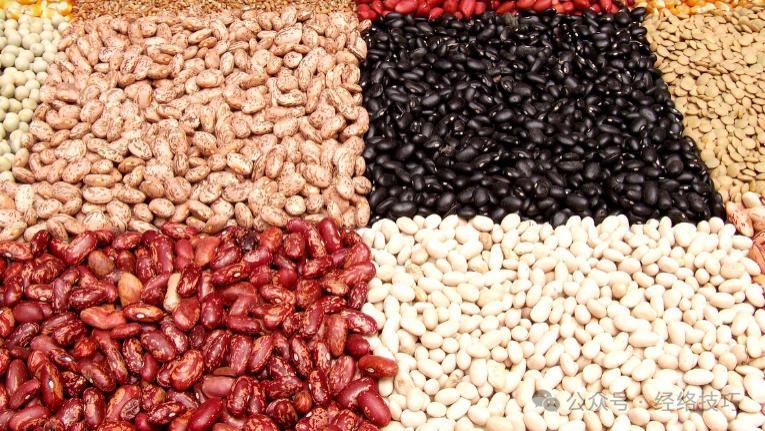 《黄帝内经》：照着“五谷为养”吃，免疫力或自己回来