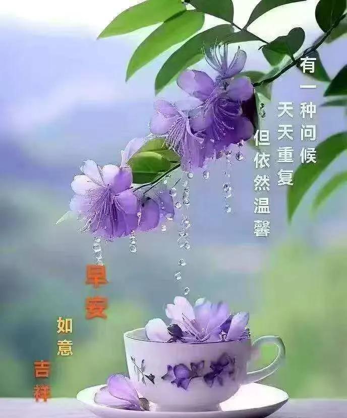 早安心语：有一种问候，天天重复，但依然温馨。
晨曦微漾，新的一天悄然开启。亲爱的