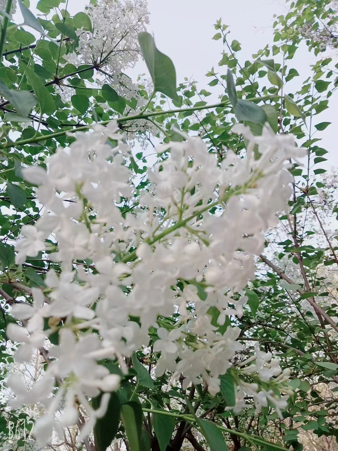 欣赏自己的风景，遇见自己的幸福