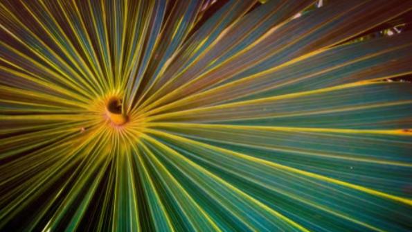 管理你的“能量”，而非你的“时间”