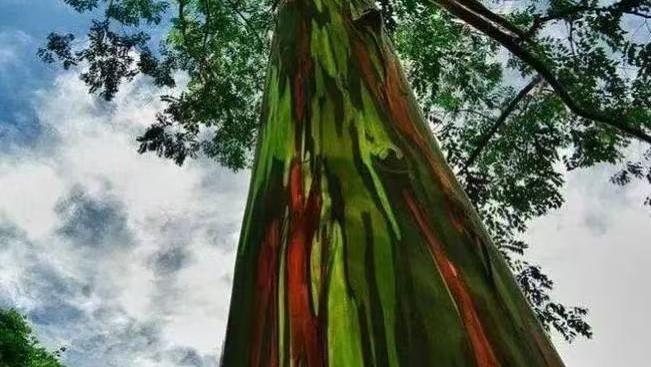 广东博罗七百万征地款谜案追踪：村民申诉逾年未果，多重疑点待解