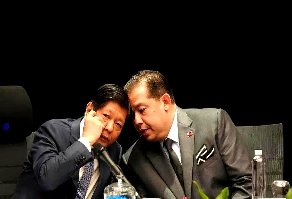 菲国家团结党开除了众议院副议长弗拉斯科的党籍。

说白了就是站队没站明白！

这