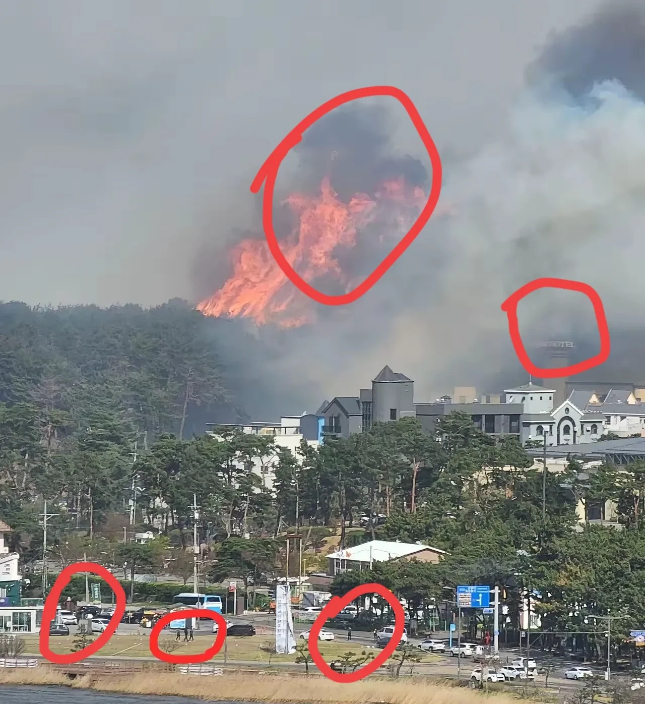 韩国山火与奇葩操作











韩国首尔郊区山火烧得厉害，浓烟滚滚，老