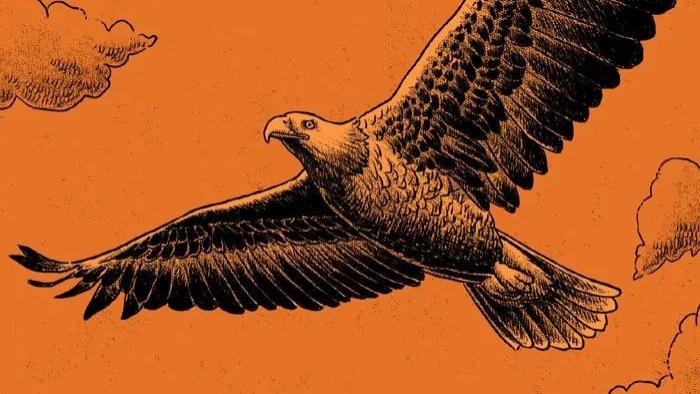 恐怖漫画：兔子