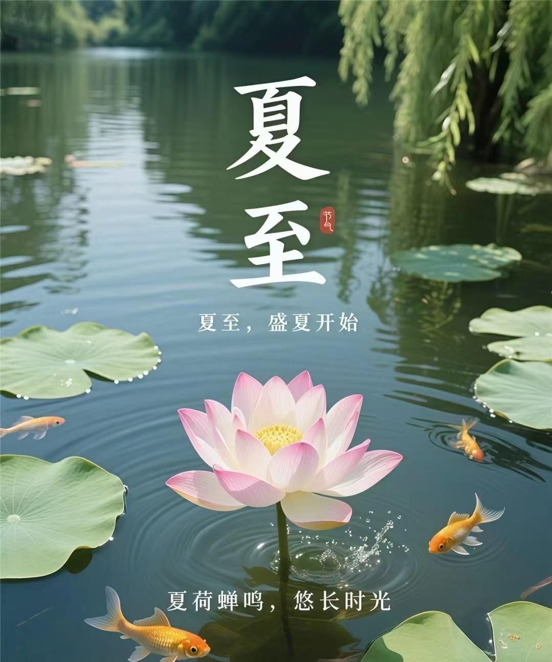 夏至，
蝉鸣阵阵，
仿佛在提醒我们，
生命短暂，
要如夏花般灿烂地绽放。
最长的
