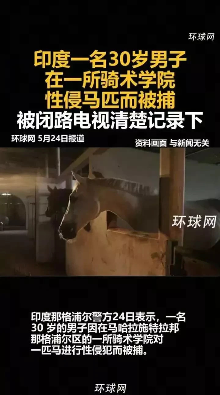 印度男子监控下侵犯马匹











---











简直