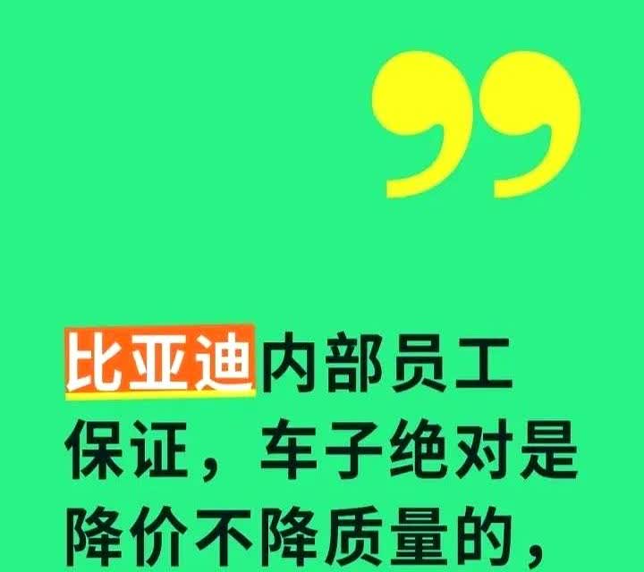 比亚迪员工双手保证，车子降价绝对是不降质量的，用料大可放心，因为……你们以低价格