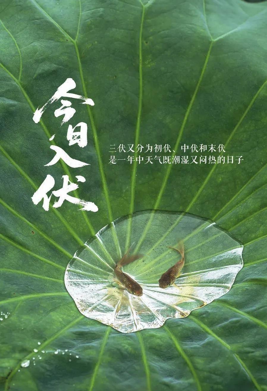 日本队1号位打满全场，咱们的王思雨怎么就歇半场？这体能分配我真看不懂！
人家罚球