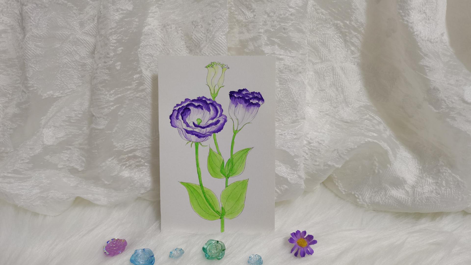 56 土耳其桔梗（绘画 水彩 果花甘06）