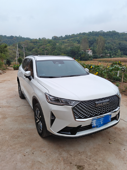 三代h6-1.5tmax开10030公里
买车到现在8个月了，共计跑了10030