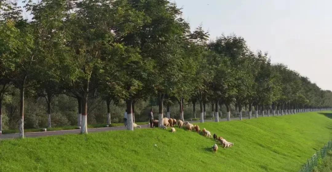 曹老板占领荆州后，贾诩建议施行仁政，慢慢消化。  周瑜的迅速反击打破了这看似稳妥