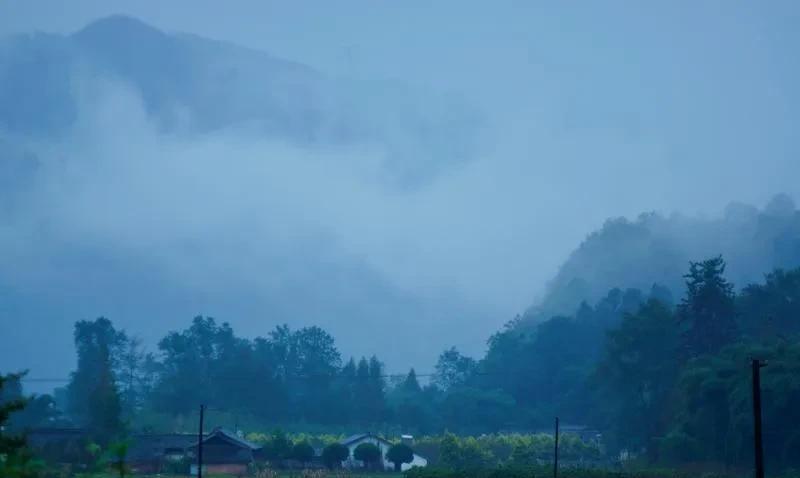#上联：雾绕青山诗意里，恭请对下联#上联:雾绕青山诗意里;
下联:风吹绿水画图中