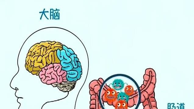 打工人总emo？研究发现：肠道菌群或操控大脑，坏情绪有说道