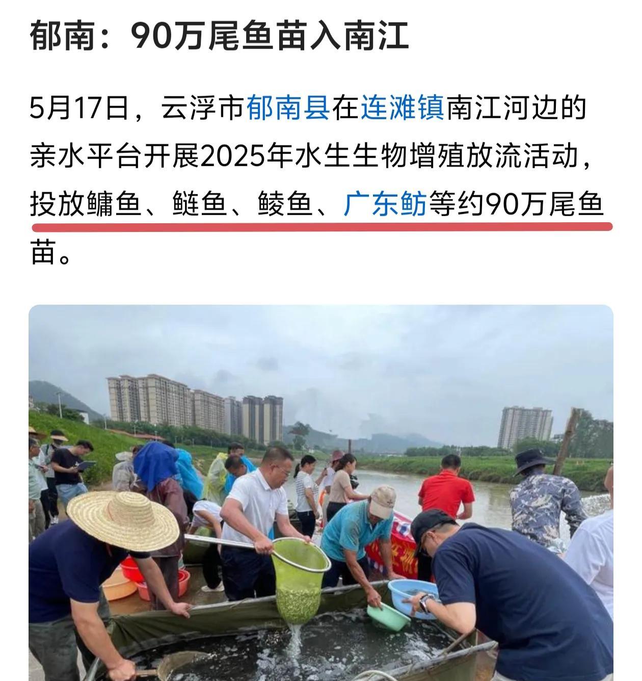 广东郁南县在连滩镇向南江（罗定江）投放了90万尾鱼苗，有鳙鱼、鲢鱼、鲮鱼等。南江