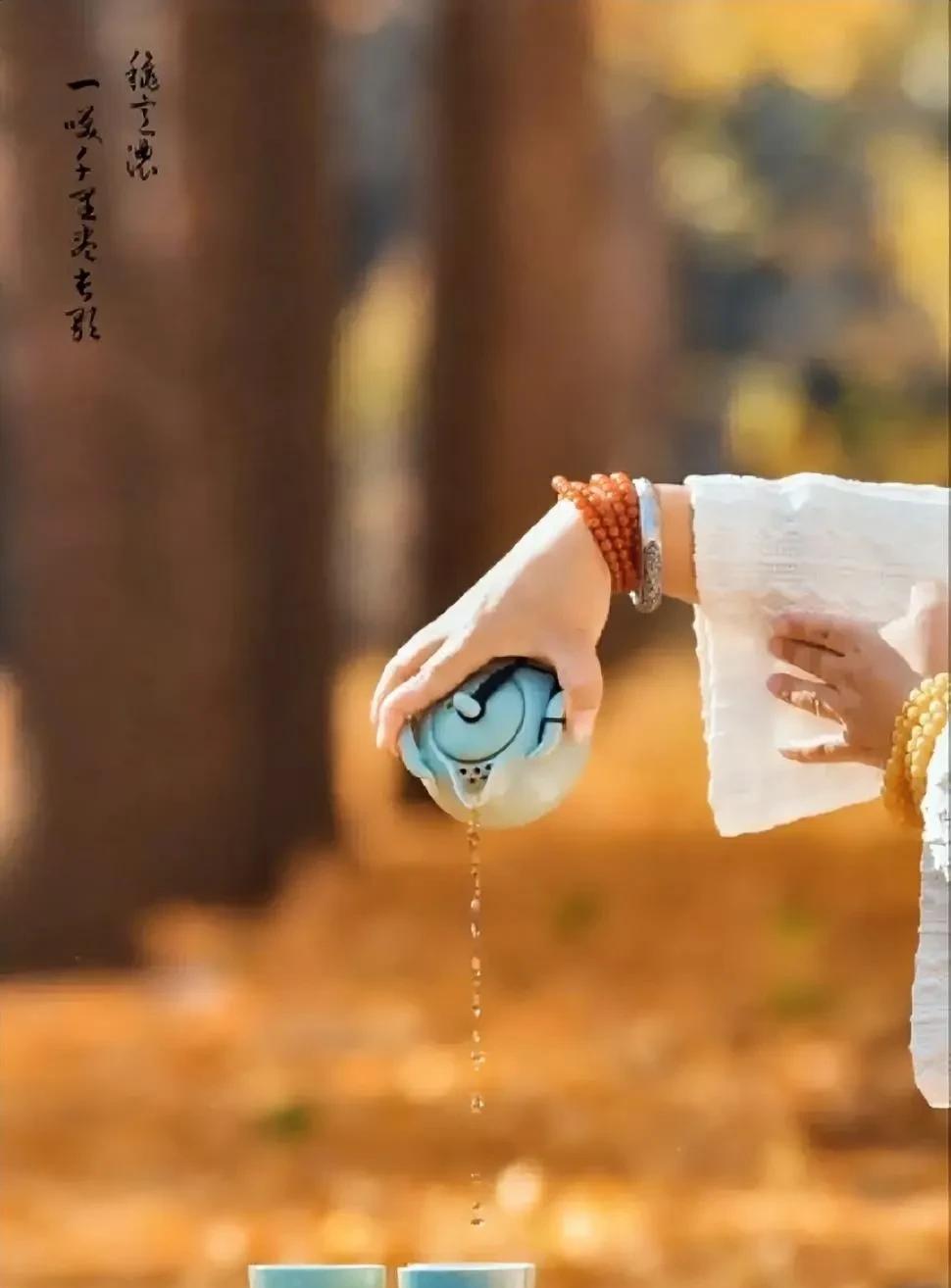 荷露人生：那些转瞬即逝的相逢
你是否也觉得，岁月里的相逢，不过是荷尖上的一滴露水