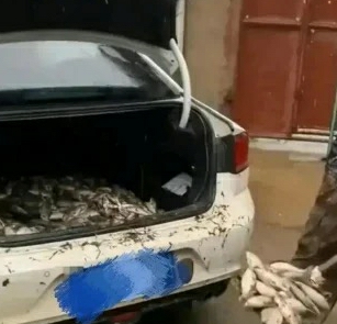 二手市场：美女一手车