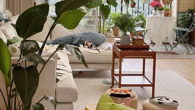 四川发现一户人家，布置得那叫一个漂亮实用，堪称“装修教科书”