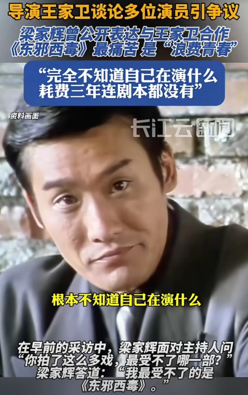 王家卫最受争议的一部剧依然还是当年大牌云集的《东邪西毒》，但是这部剧对演员而言，