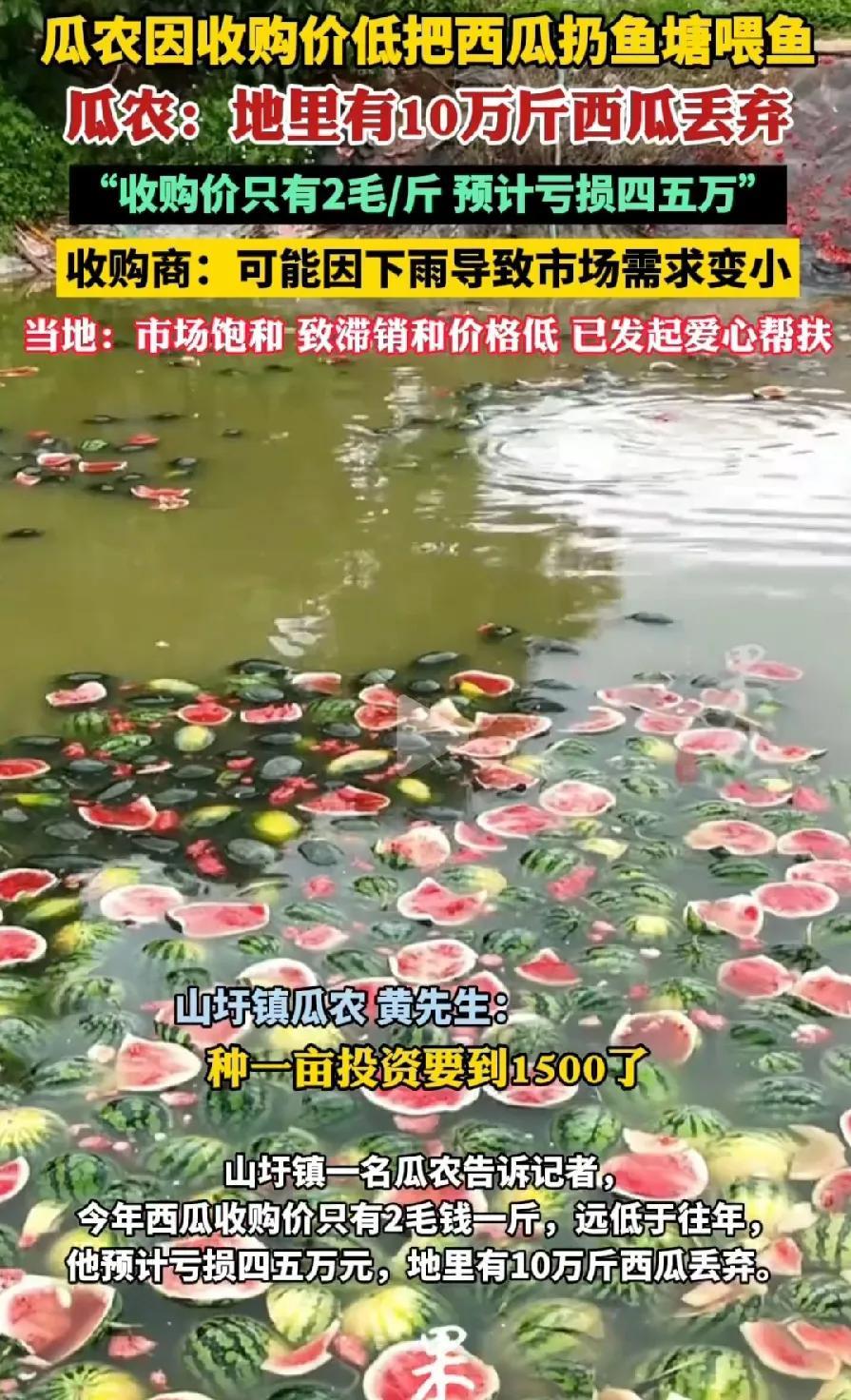 农民永远苦！想起了30年前我小时候，我们村里一位大叔，去镇上卖青辣椒，农机三轮车