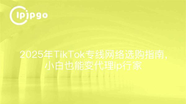 2025年TikTok专线网络选购指南，小白也能变代理ip行家