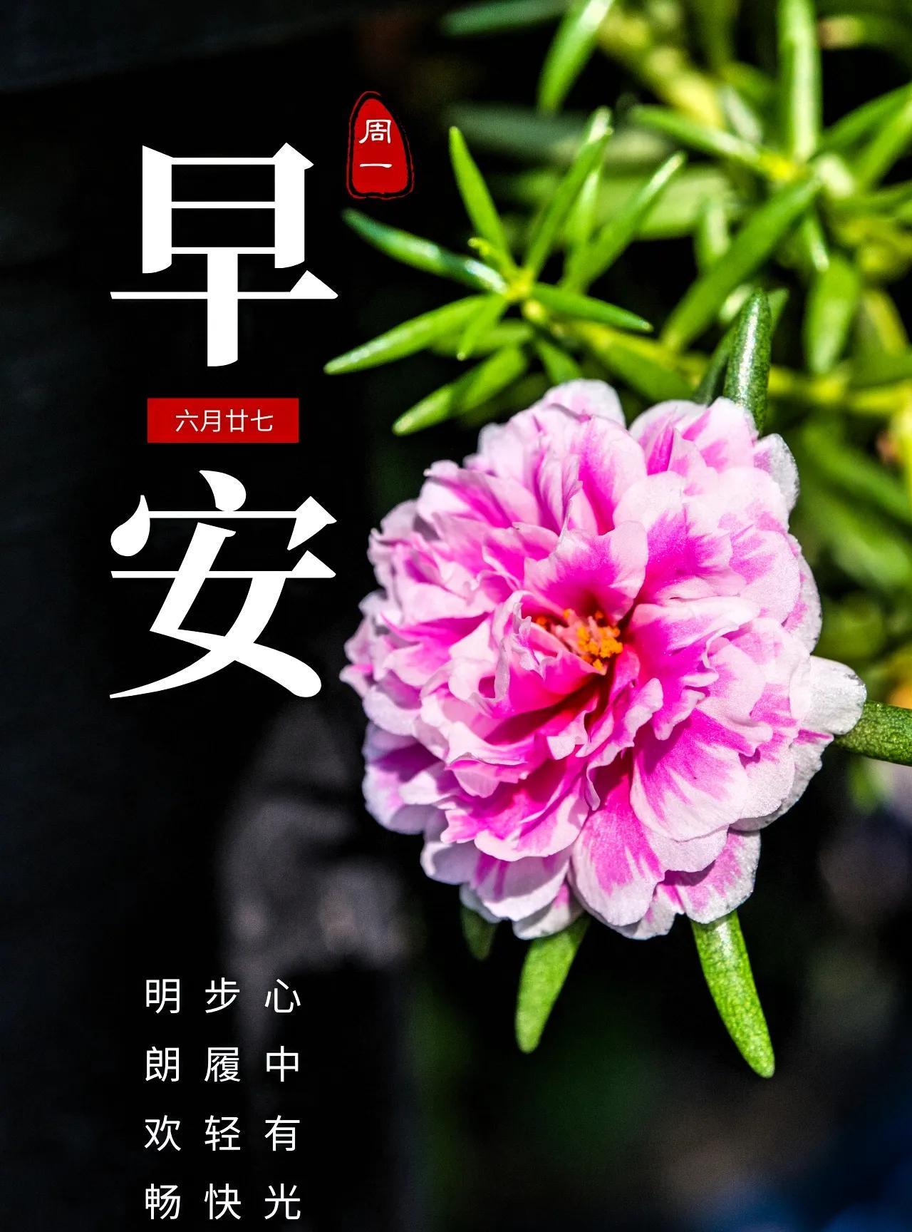 每一段寻常都藏着热烈的注脚，每一个并肩同行的人都值得用心铭记。以真诚去珍惜，以热