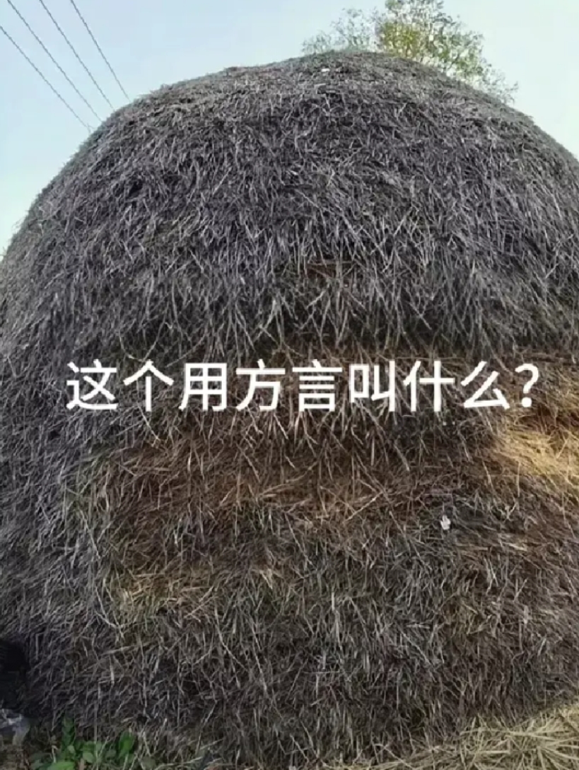 这个用方言怎么说