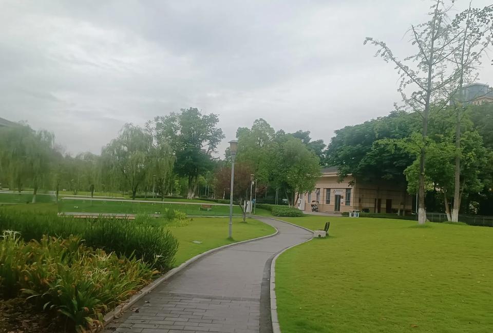 但眼见其他朋友写文章获得了很好的收益，我的内心难免会”蠢蠢欲动“，恰好又是暑假，