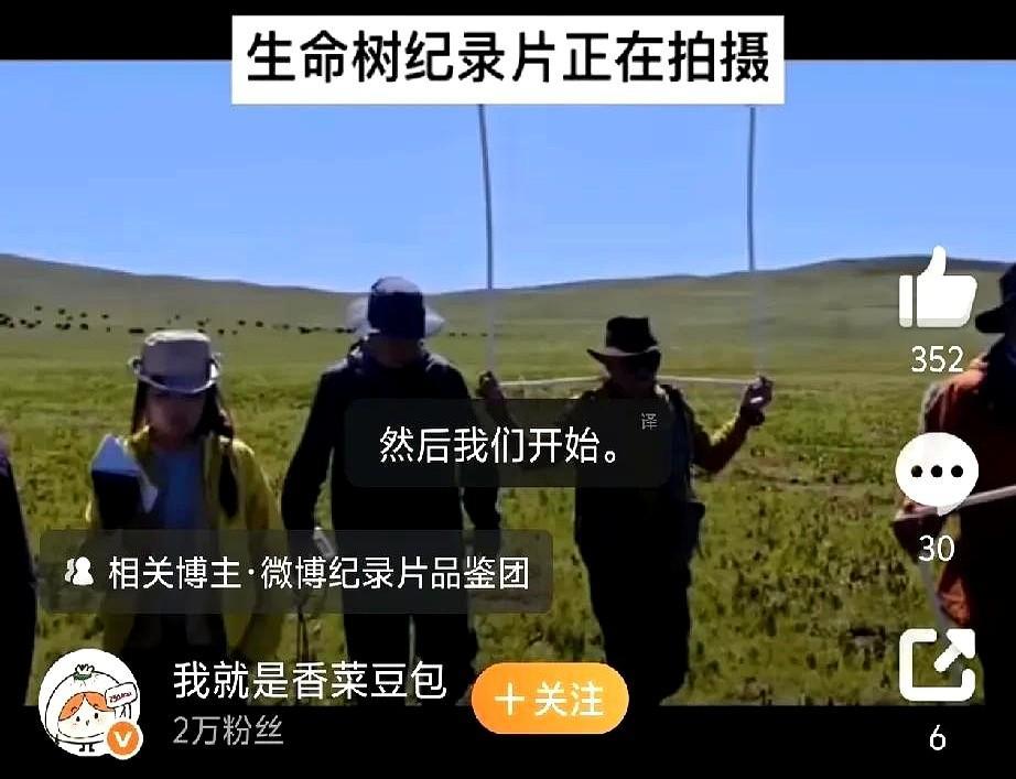 杨紫在海拔4000米蹲守半年，只为拍一部不赚钱的纪录片。
央视九频道把《生命树》