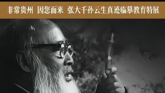 贵州这个展览实在是“飒”