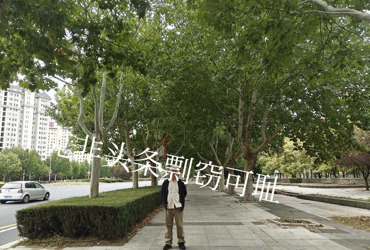 我年轻的时候，进过党校，学过政治经济学，但是忘光了，辩证法没有忘记。
就是说，事