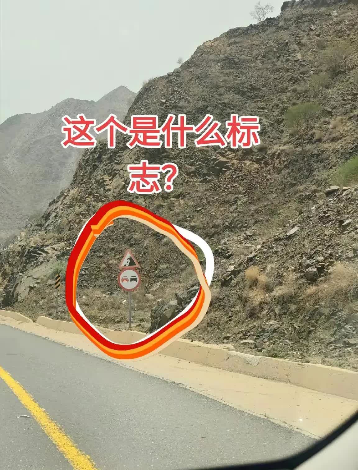 老司机们！请教一下，这是什么交通标识[抠鼻]