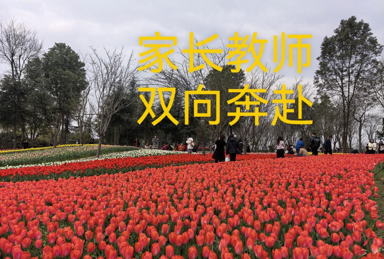 双向奔赴的家长和老师，是孩子健康快乐成长的保证。
为了孩子，家长应该主动、积极地