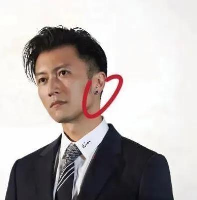 谢霆锋68亿资产豪宠二子背后：家族信托攻防战与锋菲芝三角暗涌
当谢霆锋将中环68