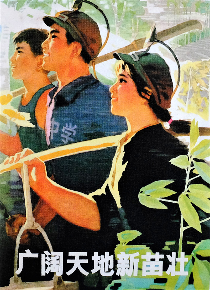 老版宣传画： 广阔天地新苗壮，张绍城 作（1973年）
