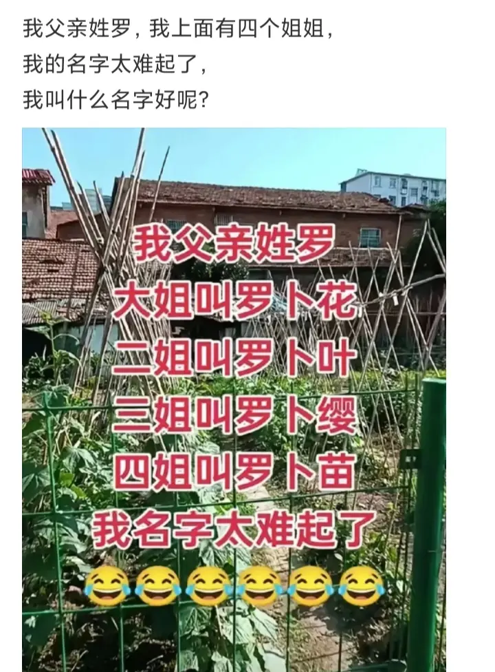 我父亲姓罗，我上面有四个姐姐，我的名字太难起了