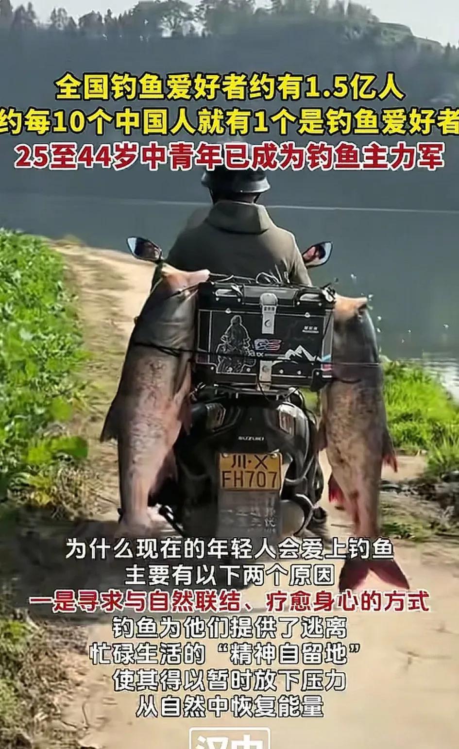 真有这么多吗？
全国钓鱼爱好者约1.5亿人，25-44岁青年已成钓鱼主力军。我身