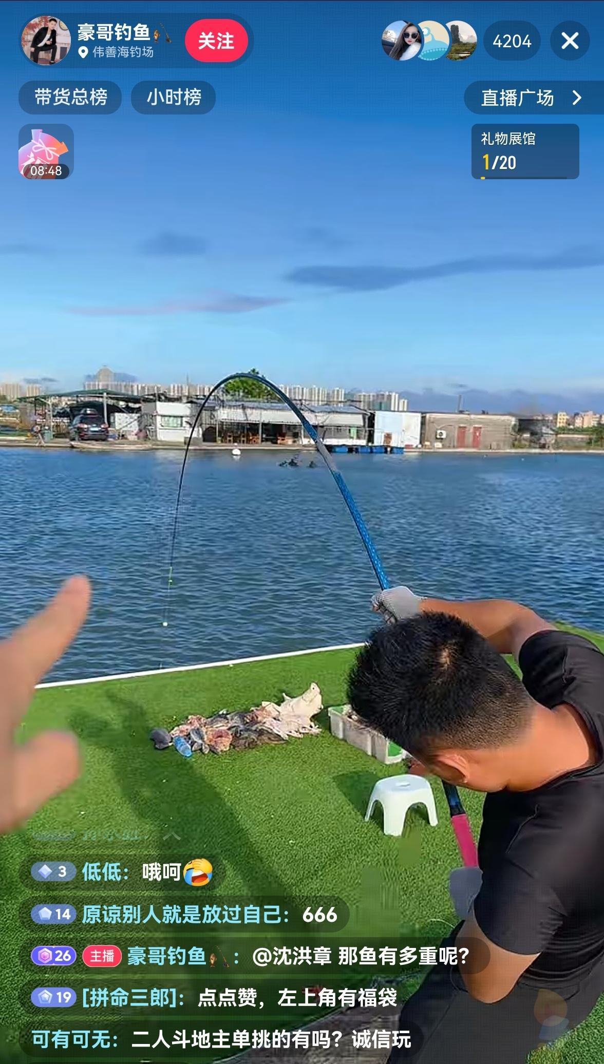 看了几个钓鱼直播，发现在岸边都会摆一个猪头，然后苍蝇围着飞，这是干啥的？猪头是喂
