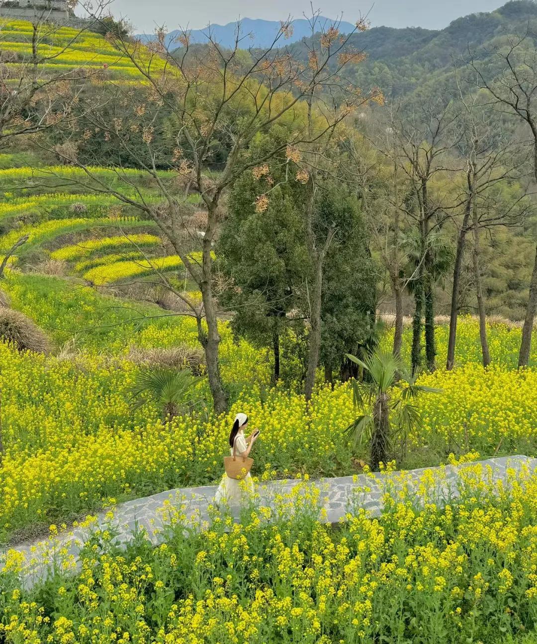 #春日生活打卡季#万万没想到，在义乌浦江，居然还有如此美丽的景色，走走看看，心情