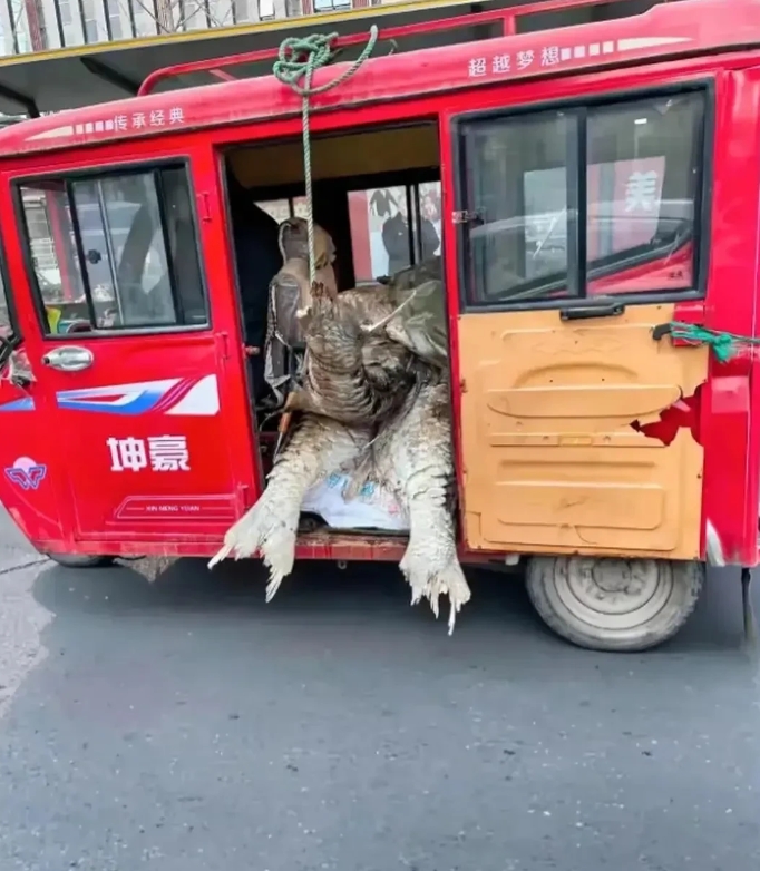 安徽，有一名男子在回家的路上，看到有一户人家的家门口停放着一辆公交汽车，公交车的