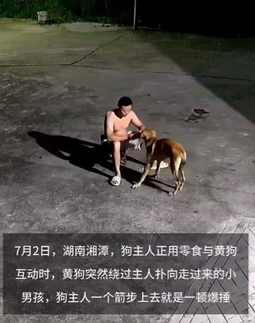 “三观太正了！” 湖南湘潭，一只狗突然扑向五六岁的小孩，家长拉着孩子躲避，狗狗仍