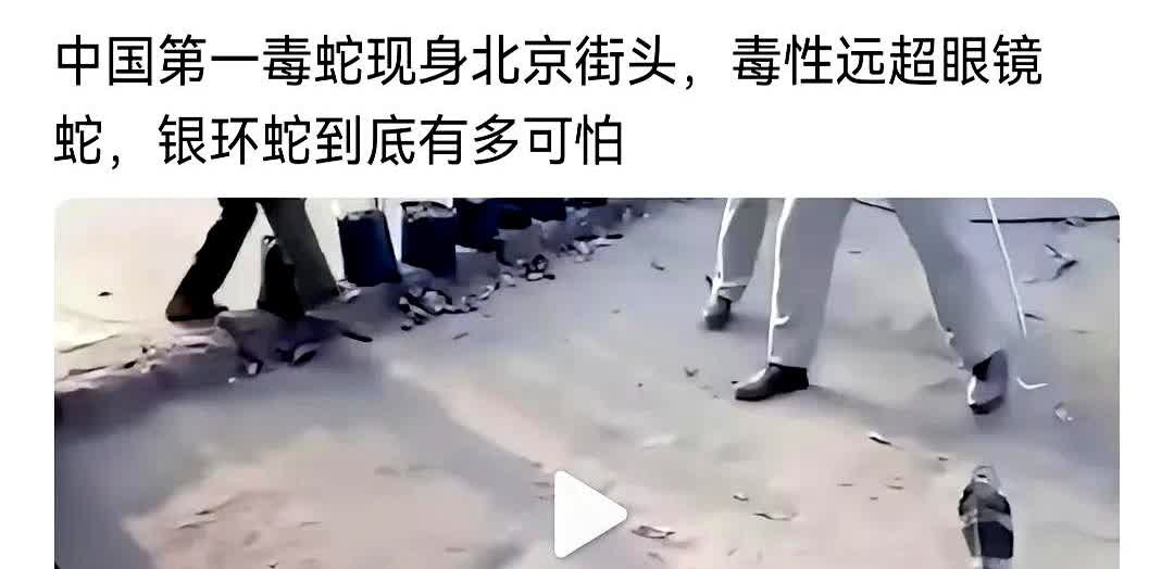 结合南方女子被蛇咬后身亡事件，加上现在北京街头也见到毒蛇，不是有人恶意，就是有人
