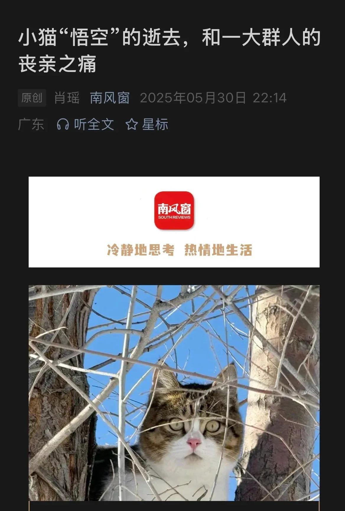 有深度的杂志“南风窗“为悟空发声。这并不是一个饭圈式的情绪事件，而是一起社会心理