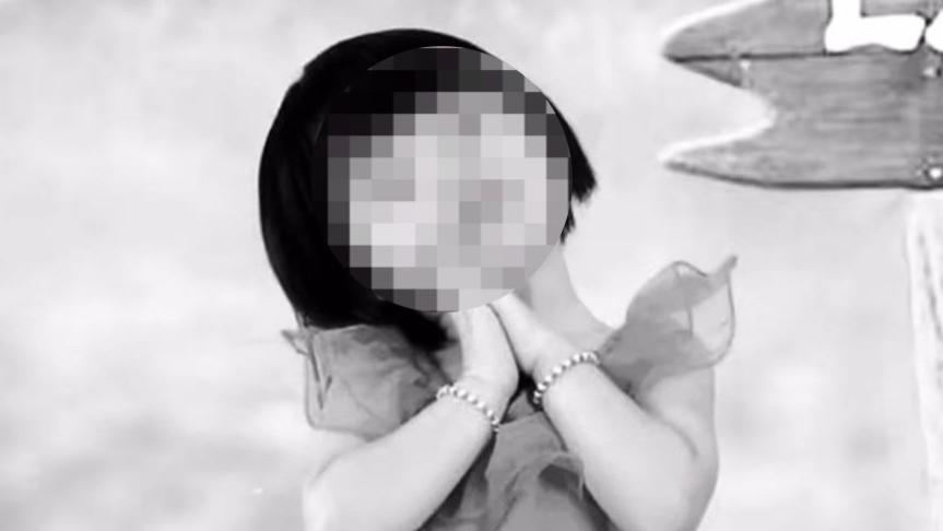 六岁《琪琪的最后十七天》