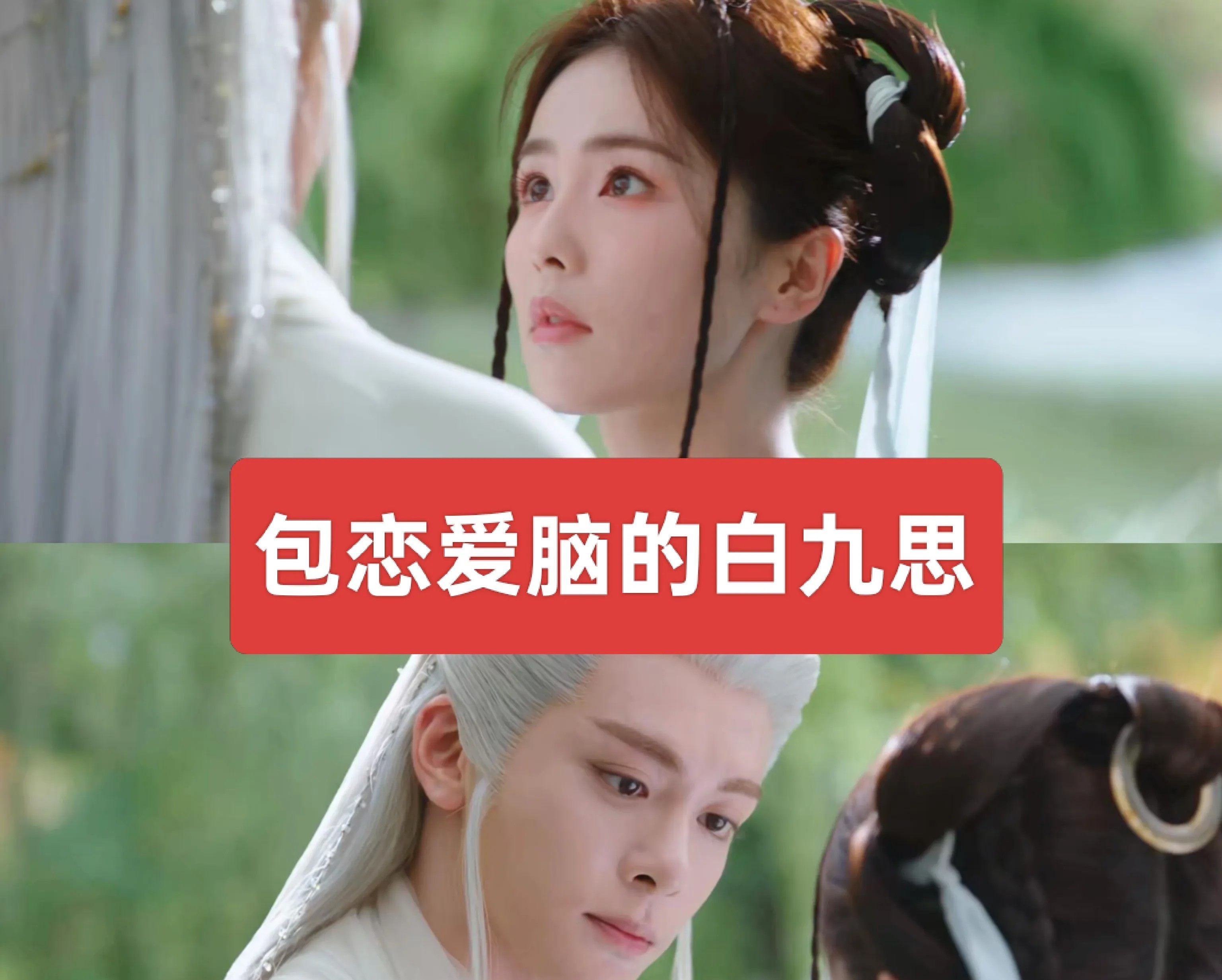 于正包吹爆的《临江仙》，设定原来是神女爱世人
从看到花如月出现后的剧情，大概知道